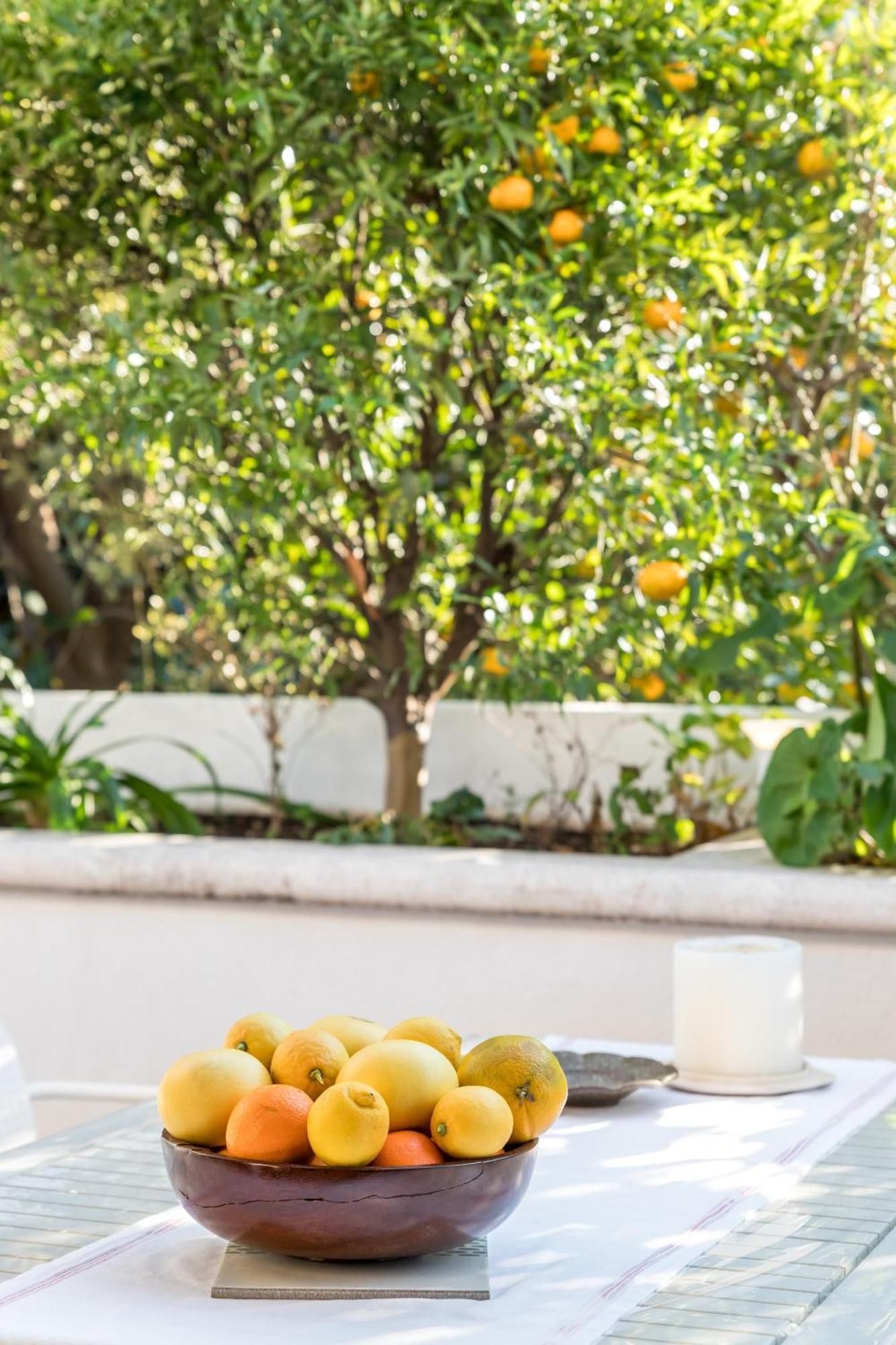 Mariuci With Lush Terrace And Private Garage Leilighet